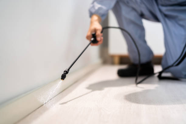 Bed Bug Pre-Treatment Preparation Assessment in Mancelona