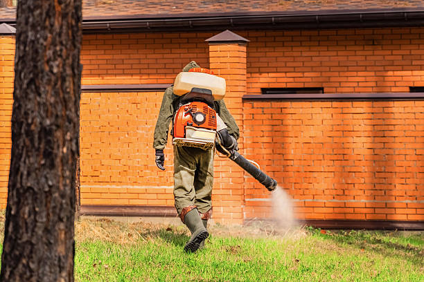 Bed Bug Clearance Verification and Documentation in Mancelona
